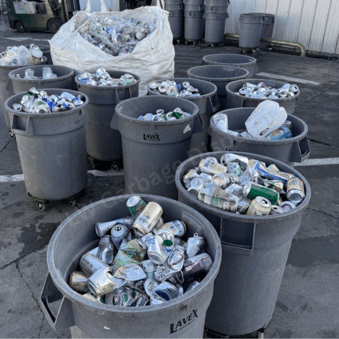 Trash & Recycling Collection in Laguna Woods, CA by LW Garbage Disposal