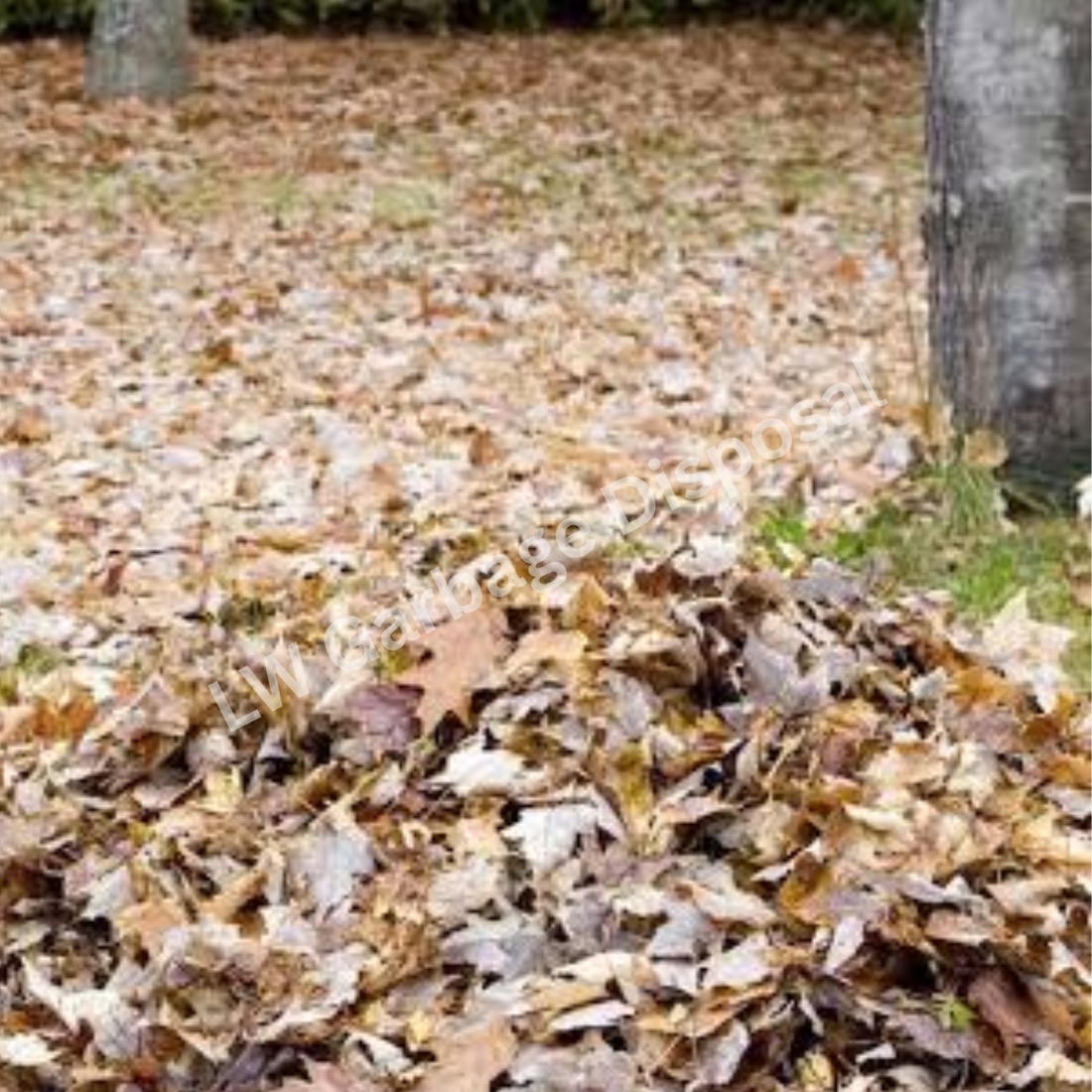Yard Debris Removal in Laguna Woods, CA by LW Garbage Disposal